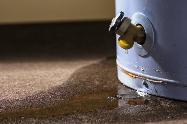 Best Water damage restoration cost  in Mccom, OH