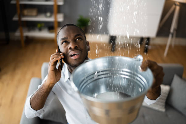 Best Water damage contractors near me  in Mccom, OH