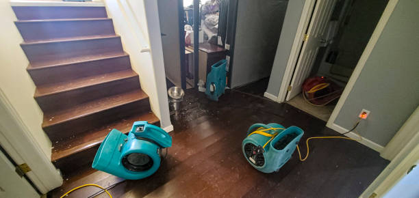 Best Fire Damage Restoration  in Mccom, OH