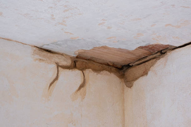 Best Emergency water damage restoration  in Mccom, OH